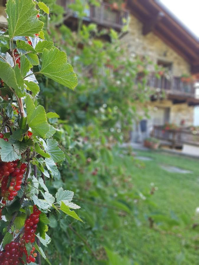 Agriturismo La Clochette Torgnon Luaran gambar